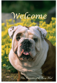 Bulldog - Best of Breed  Indoor/Outdoor Aluminum Sign