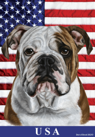 English Bull  Dog - Best of Breed All-American II Outdoor Flag (size: Garden 12" x 17")
