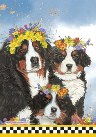 Bernese Mountain Dog GFS559   Pipsqueak Productions Outdoor Floral Flag (size: House 28" x 40")