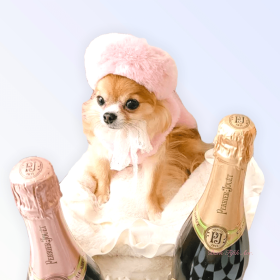 My Furry Beret (Color: pink, size: small)